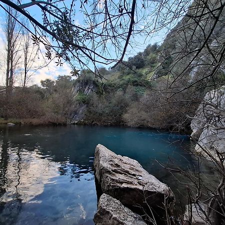Villa Molino del Caracol Benaoján Esterno foto