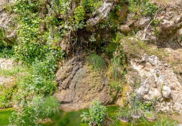 Villa Molino del Caracol Benaoján Esterno foto
